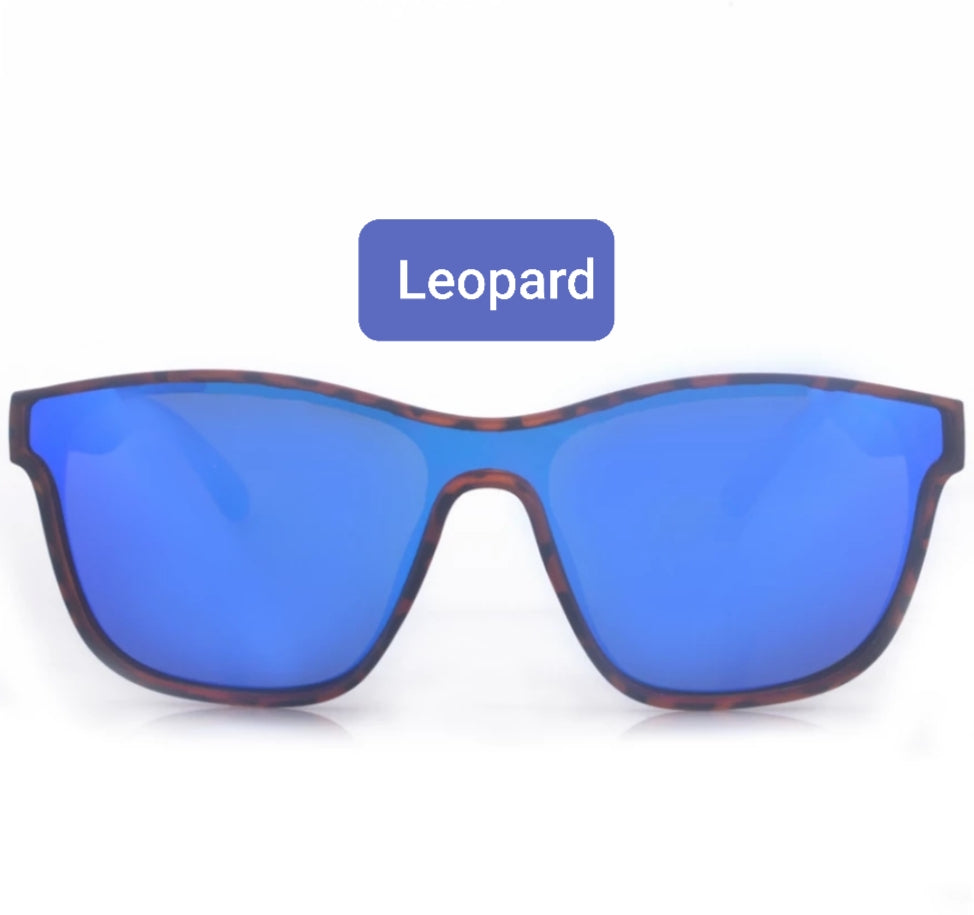 Fashion Polarize Sunglasses